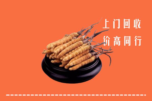 高价求购：德州武城回收散虫草